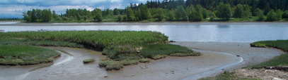 Nicomekl River