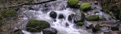 Scott Creek, Coquitlam